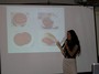 Cat Spare shares comparison of foods from Holland and the U.S.